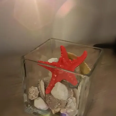 Estival By Onix Blue Mamaia Nord Apartment